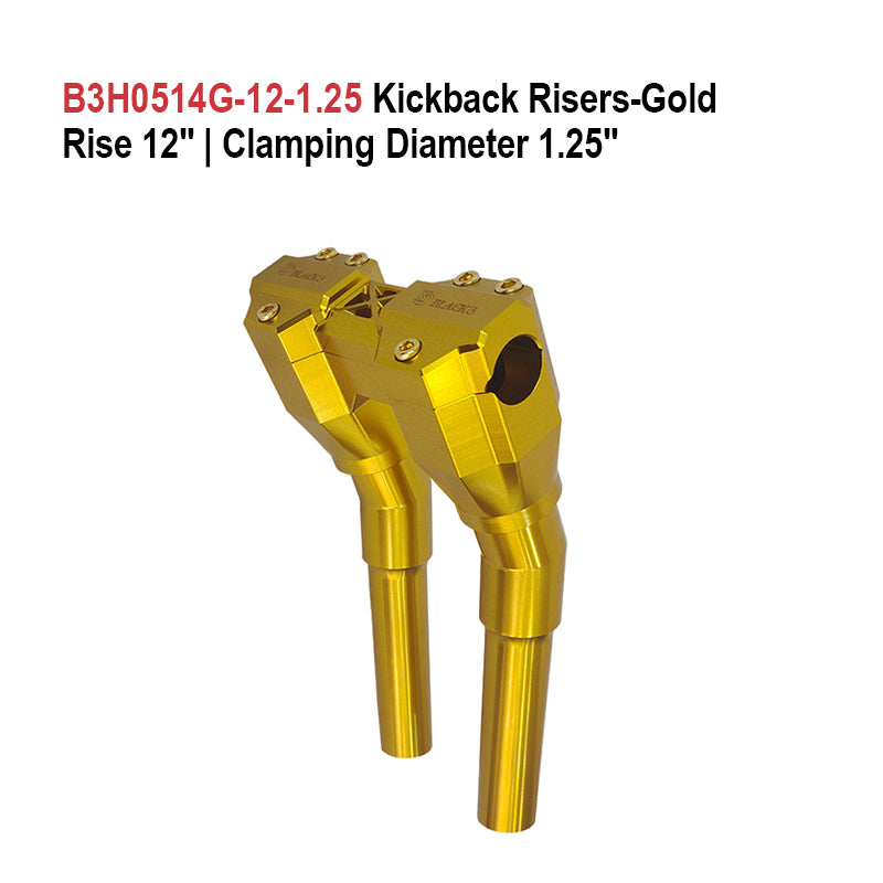 Motorcycle Frame & Body Parts2022-Later LowRider S Riser Top Gauge Mount Adjustable Tilt for 2020-2021 Dual Gauge Mounts