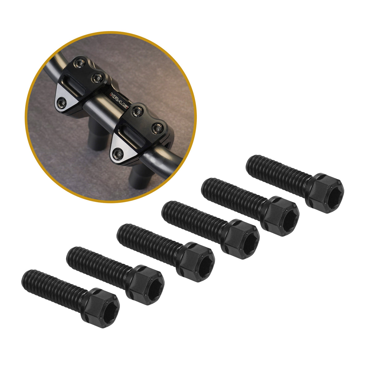 TITANIUM ALLOY BOLTS (KRAUS ADJUSTABLE ISO BAR / WORKMAN RISER)