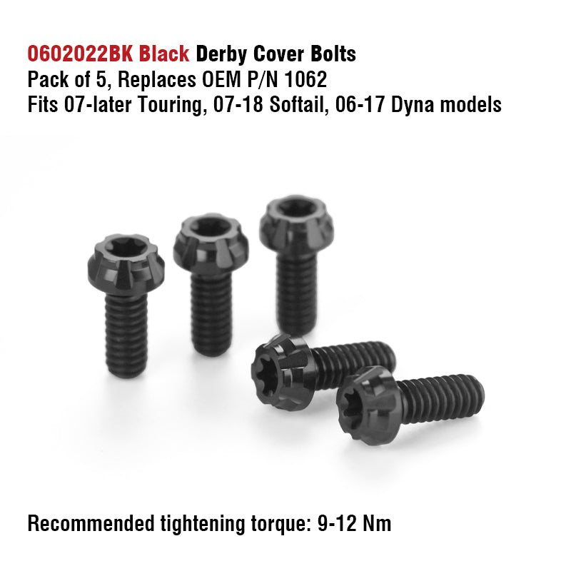 Chiefdom Derby Cover and VVT Timer Cover Titanium Alloy Bolts for H-D 121 Touring 117 Softail Motorcycle