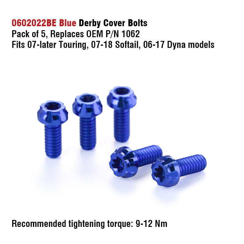 Chiefdom Derby Cover and VVT Timer Cover Titanium Alloy Bolts for H-D 121 Touring 117 Softail Motorcycle