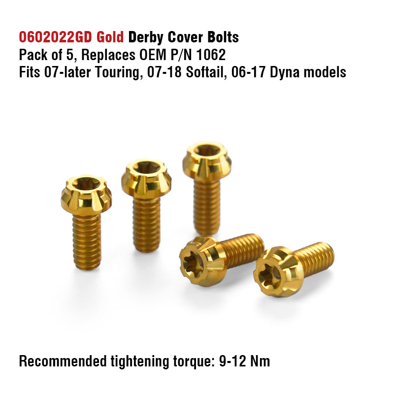 Chiefdom Derby Cover and VVT Timer Cover Titanium Alloy Bolts for H-D 121 Touring 117 Softail Motorcycle