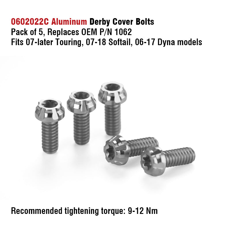Chiefdom Derby Cover and VVT Timer Cover Titanium Alloy Bolts for H-D 121 Touring 117 Softail Motorcycle