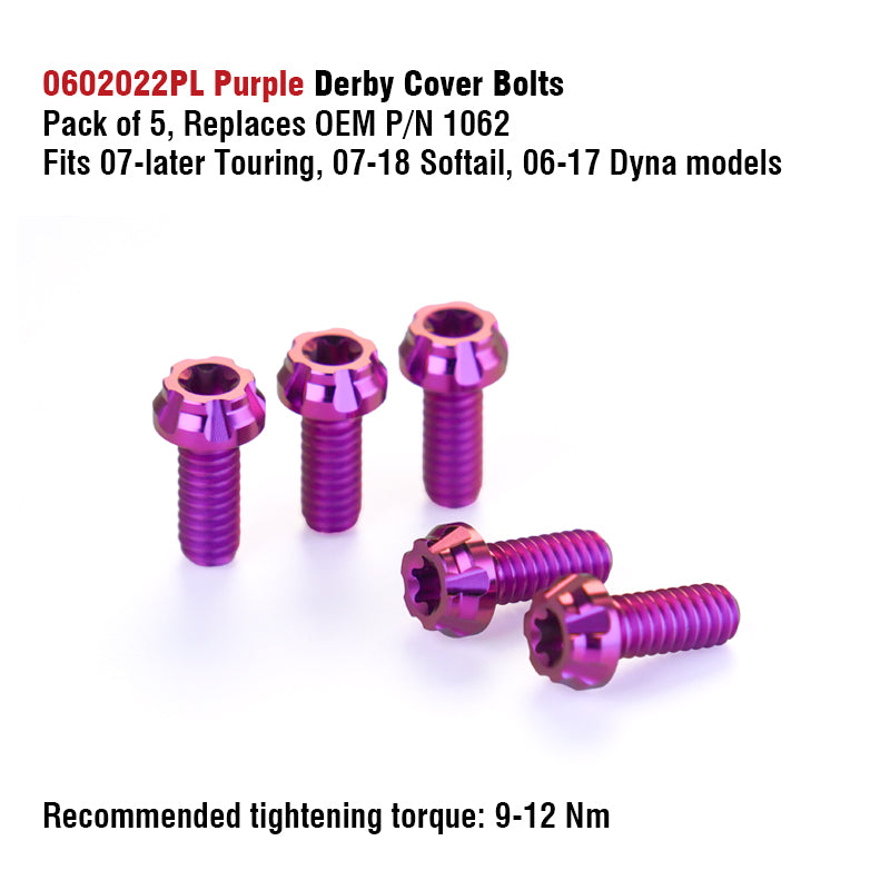 Chiefdom Derby Cover and VVT Timer Cover Titanium Alloy Bolts for H-D 121 Touring 117 Softail Motorcycle