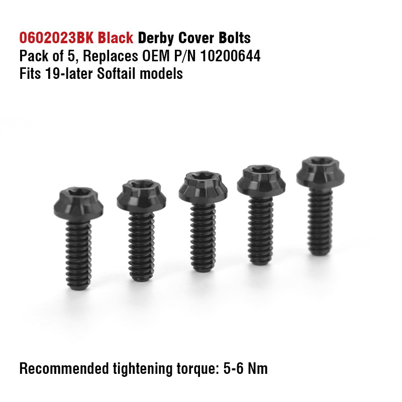 Chiefdom Derby Cover and VVT Timer Cover Titanium Alloy Bolts for H-D 121 Touring 117 Softail Motorcycle