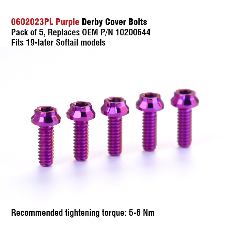 Chiefdom Derby Cover and VVT Timer Cover Titanium Alloy Bolts for H-D 121 Touring 117 Softail Motorcycle