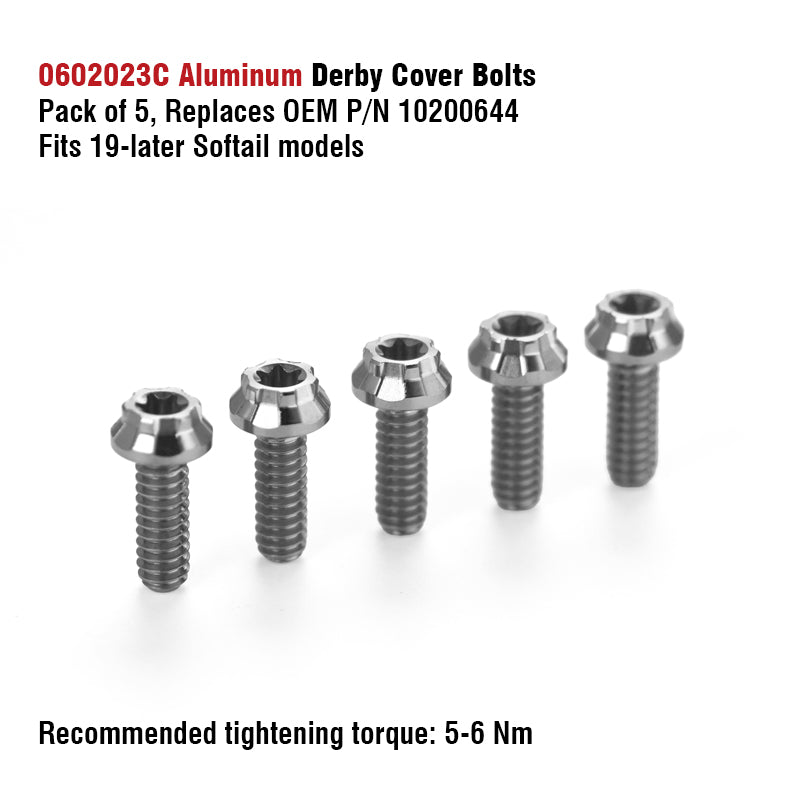 Chiefdom Derby Cover and VVT Timer Cover Titanium Alloy Bolts for H-D 121 Touring 117 Softail Motorcycle