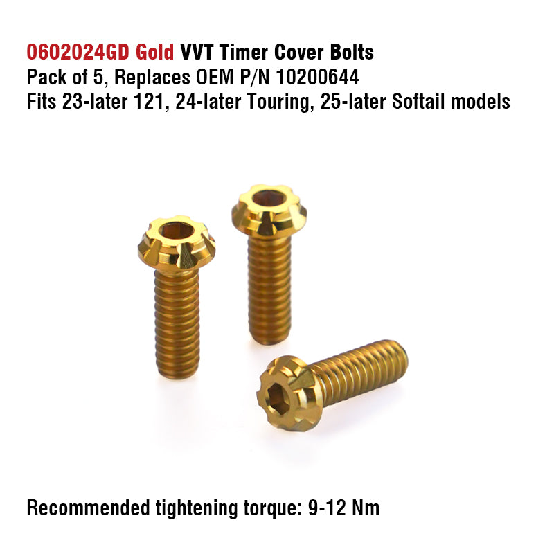 Chiefdom Derby Cover and VVT Timer Cover Titanium Alloy Bolts for H-D 121 Touring 117 Softail Motorcycle