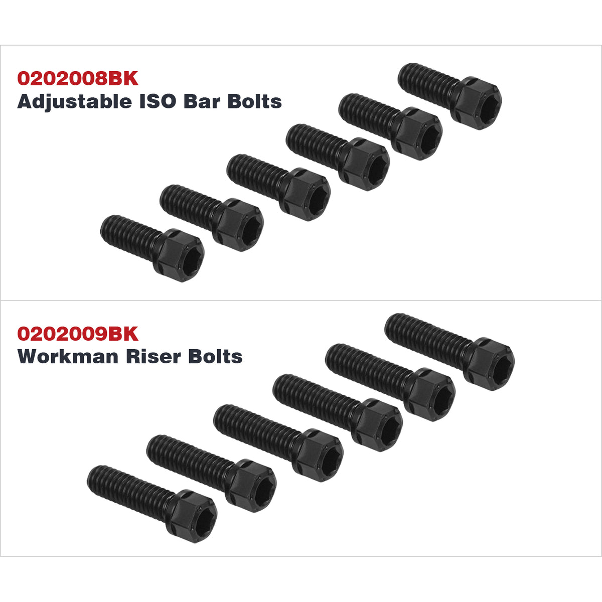 TITANIUM ALLOY BOLTS (KRAUS ADJUSTABLE ISO BAR / WORKMAN RISER)
