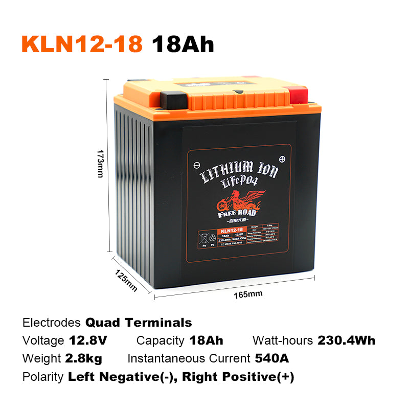 Intelligent Lithium Battery