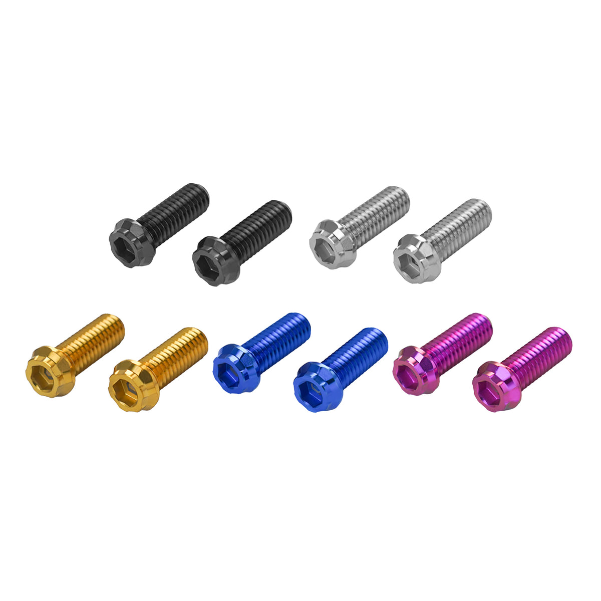 REAR SWINGARM TITANIUM ALLOY BOLTS