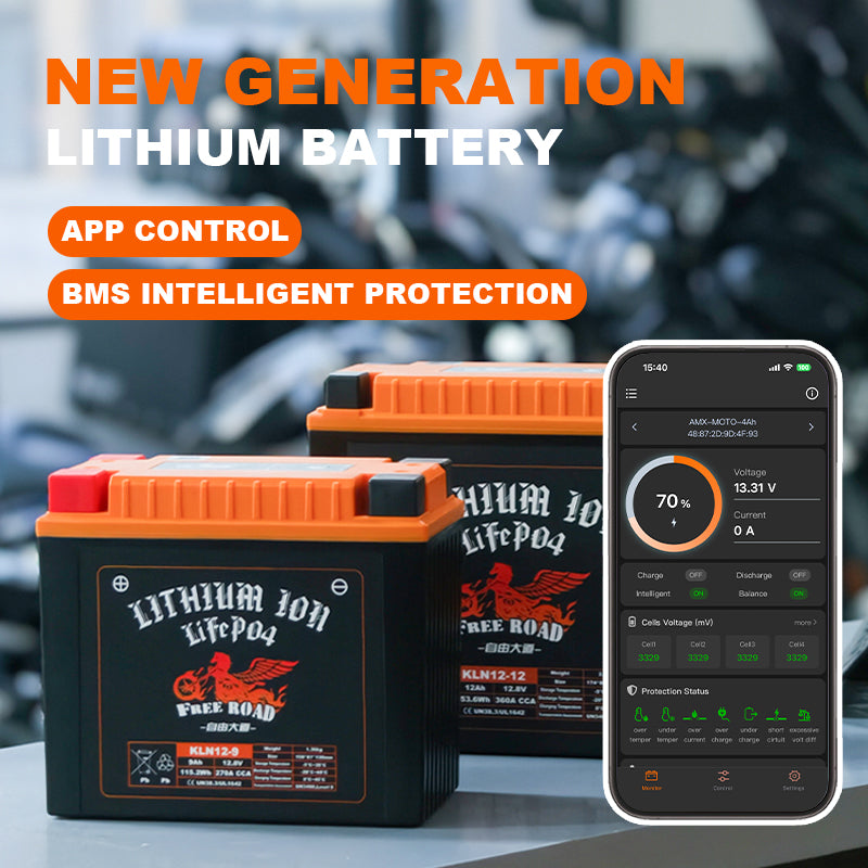 Intelligent Lithium Battery