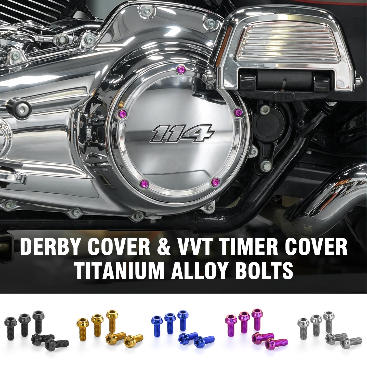 Chiefdom Derby Cover and VVT Timer Cover Titanium Alloy Bolts for H-D 121 Touring 117 Softail Motorcycle