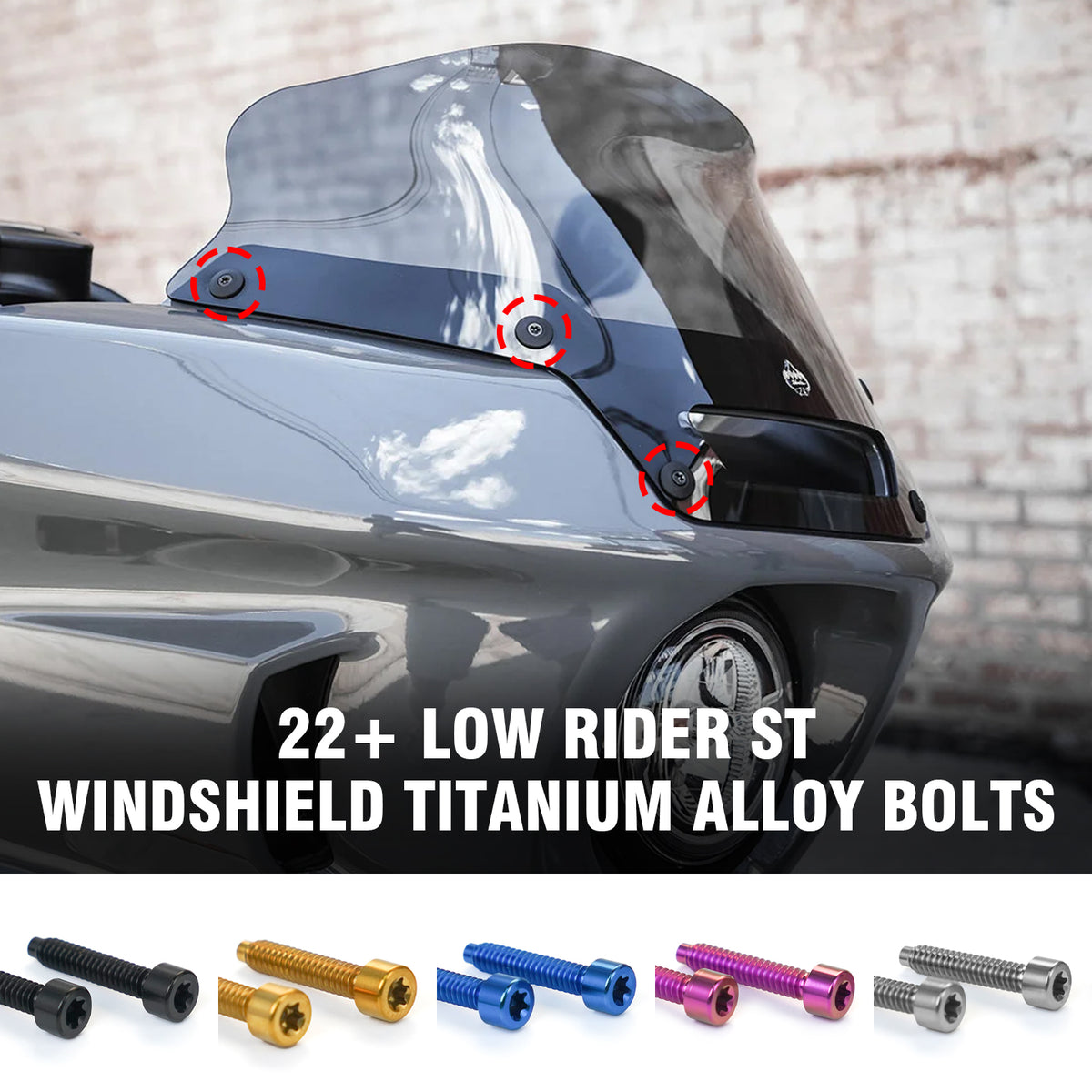 22+ LOW RIDER ST WINDSHIELD TITANIUM ALLOY BOLTS