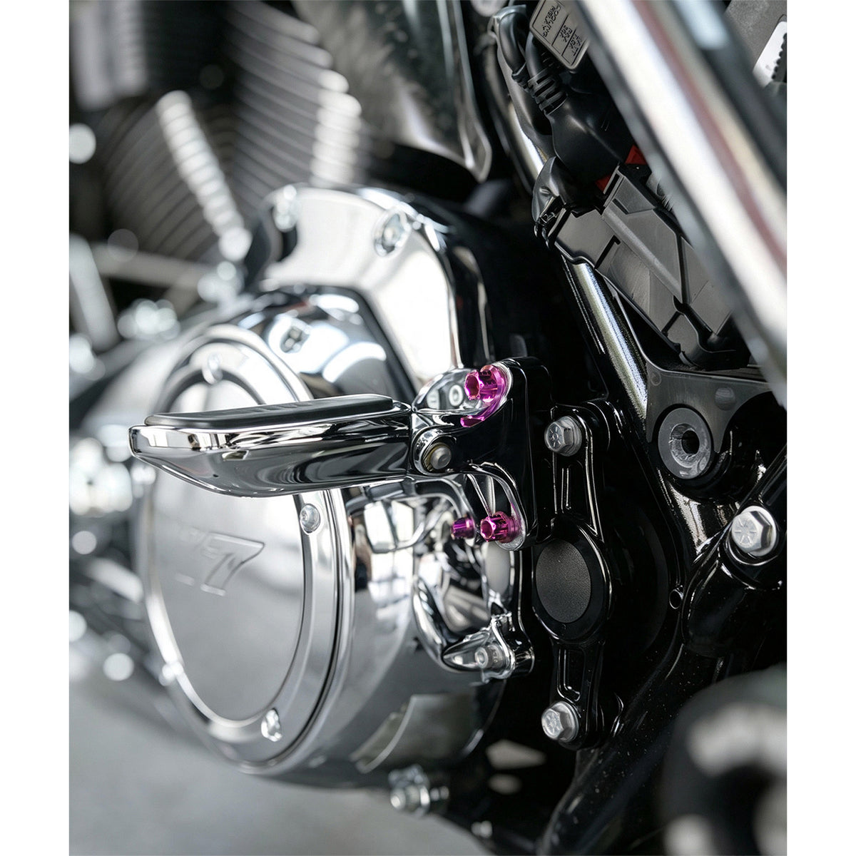 Heel/Toe Shifter and Passenger Foot Pegs Titanium Alloy Bolts