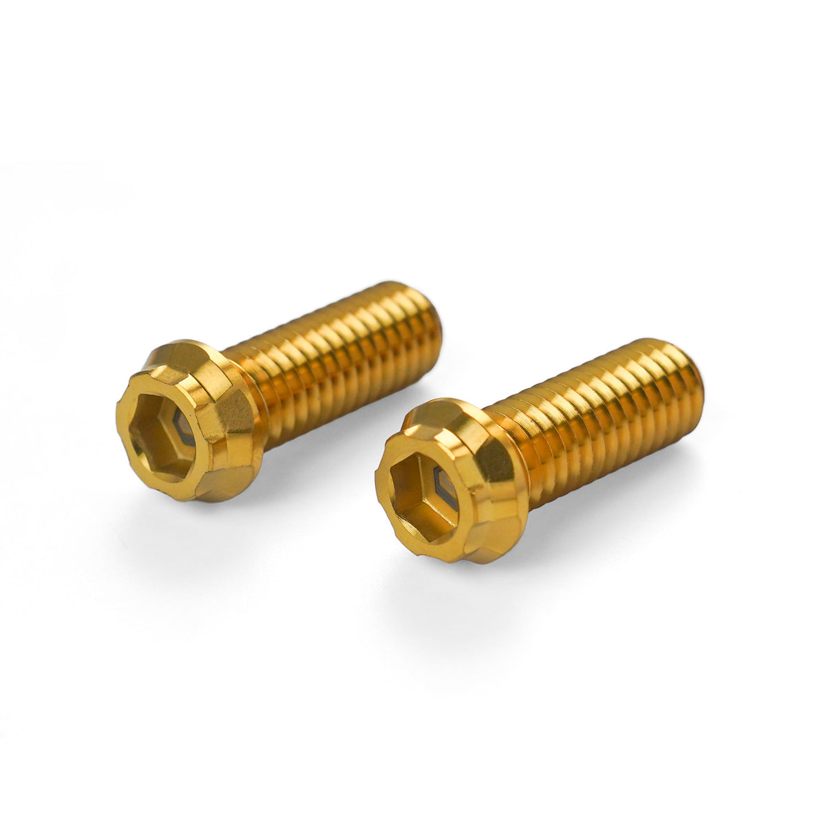 REAR SWINGARM TITANIUM ALLOY BOLTS