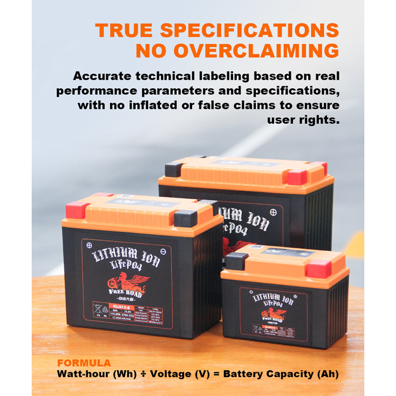 Intelligent Lithium Battery