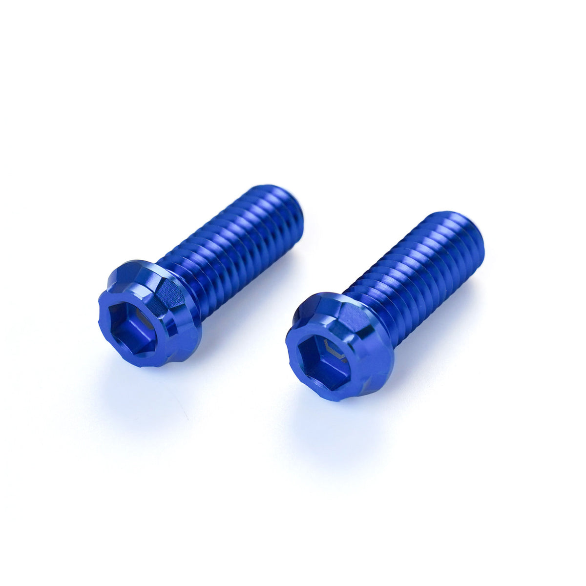 REAR SWINGARM TITANIUM ALLOY BOLTS