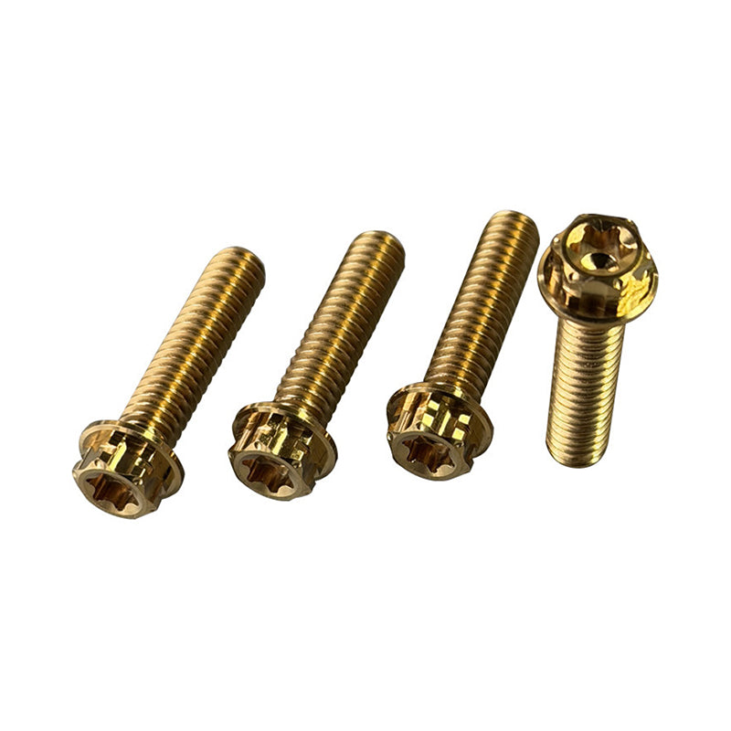 Titanium Alloy PB Style Handlebar Throttle Clutch Lever Clamp Bolts for HD Touring Softail Dyna Motorcycle