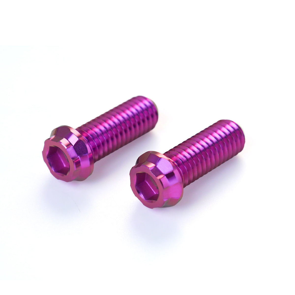REAR SWINGARM TITANIUM ALLOY BOLTS