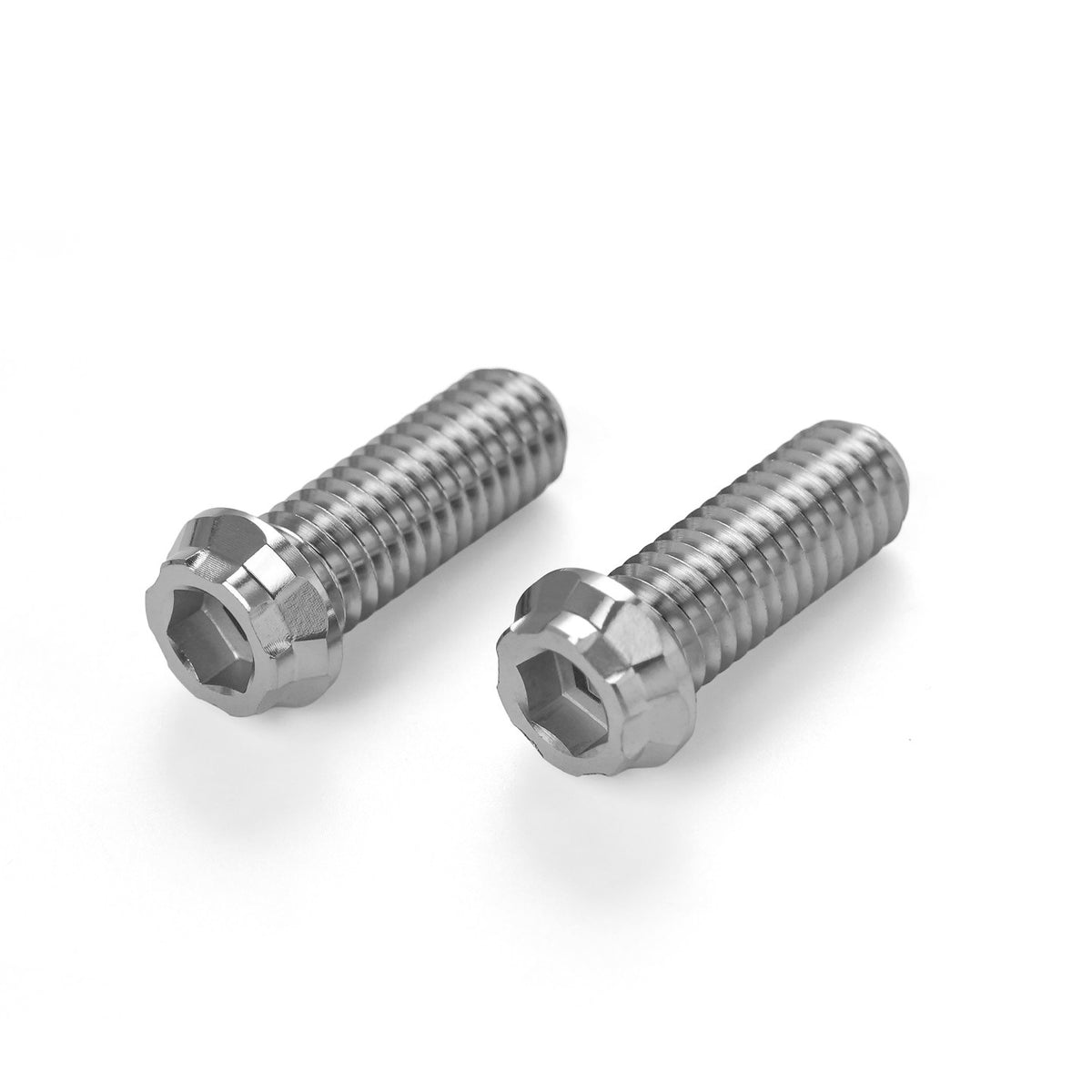 REAR SWINGARM TITANIUM ALLOY BOLTS