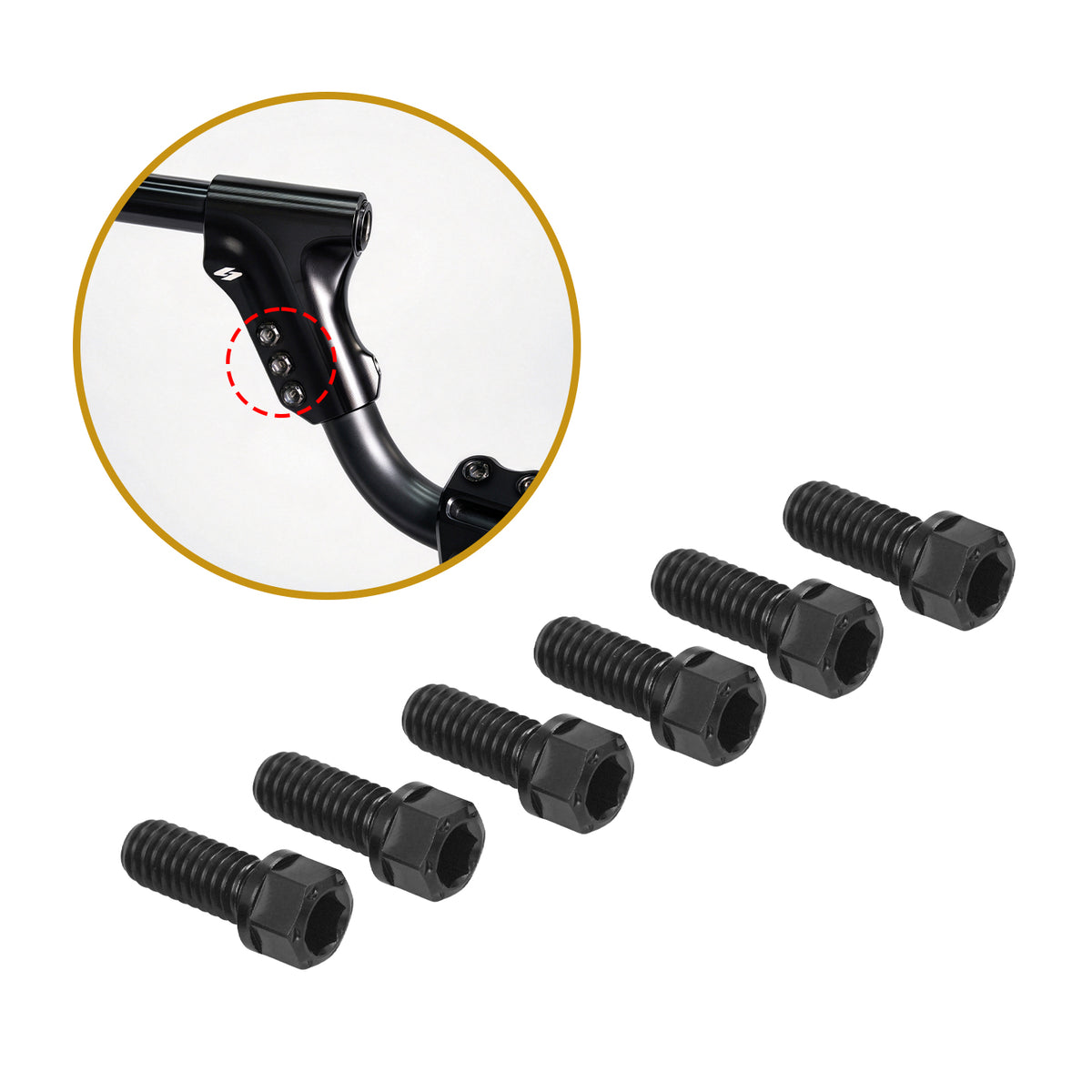 TITANIUM ALLOY BOLTS (KRAUS ADJUSTABLE ISO BAR / WORKMAN RISER)