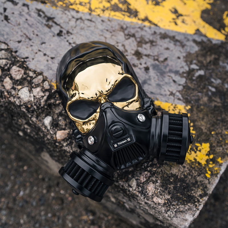 SKULL AIR CLEANER KIT