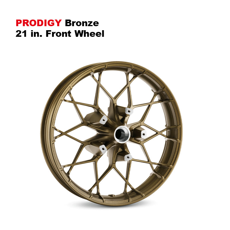Customized 21-Inch Front Wheels Fit HD 14-later Touring Road Glide, Street Glide, Electra Glide Motor Accessory
