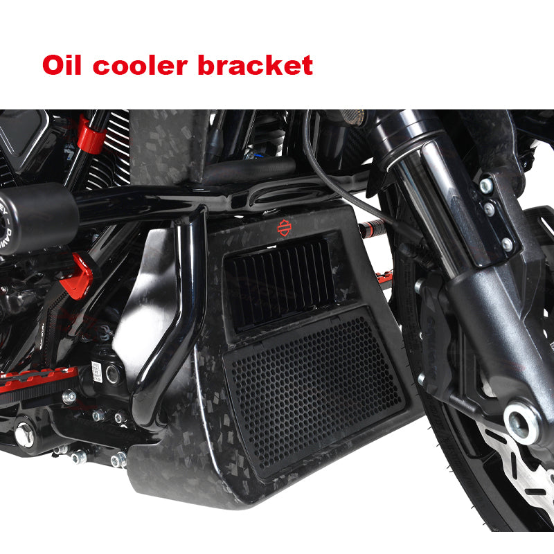 2023 Road Glide CVO 2024 Road Glide Motorcycle Frame Body Parts Accessories Forged Carbon Fiber Rear Tank Elements Compatible