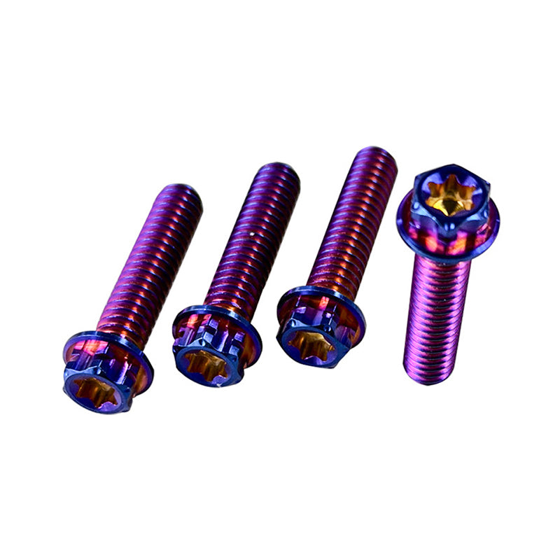 Titanium Alloy PB Style Handlebar Throttle Clutch Lever Clamp Bolts for HD Touring Softail Dyna Motorcycle
